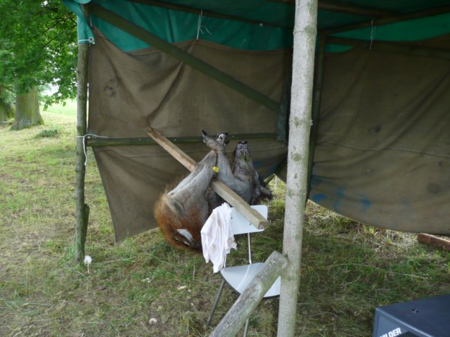 chrbonn2009062