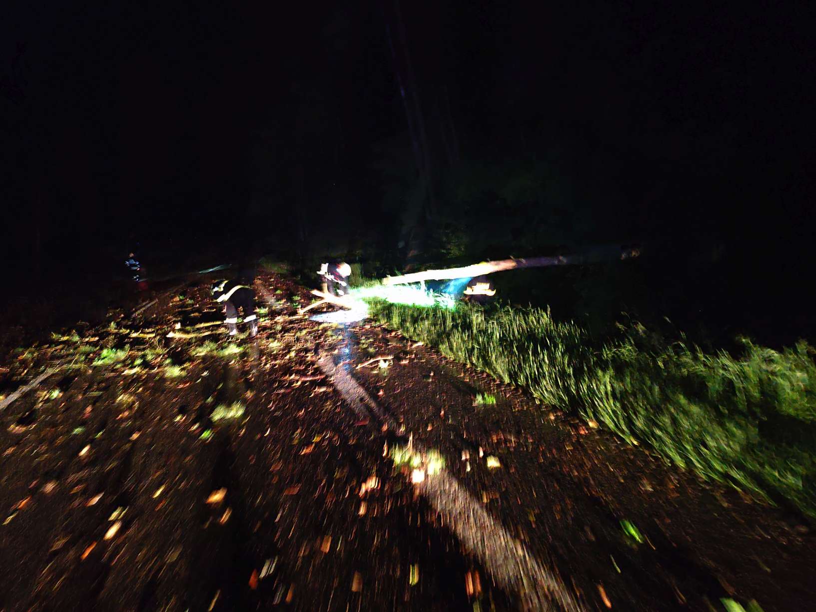 IMG_20250605_001733