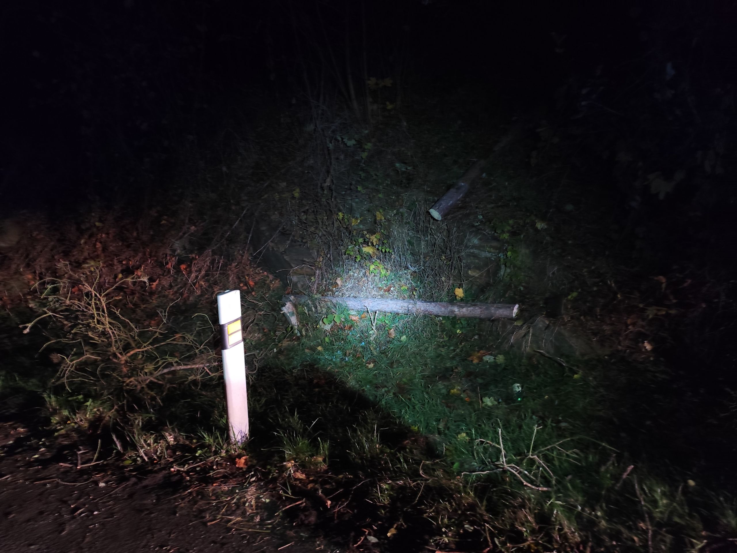 tmp-1761592889312_10801920